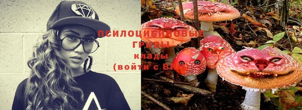 альфа пвп Козельск