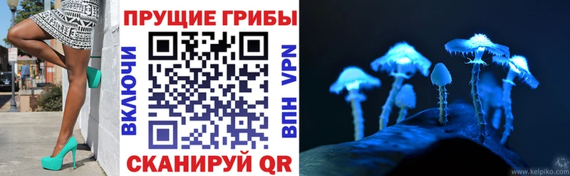 купить наркоту  Михайловка  kraken вход  Галлюциногенные грибы ЛСД 